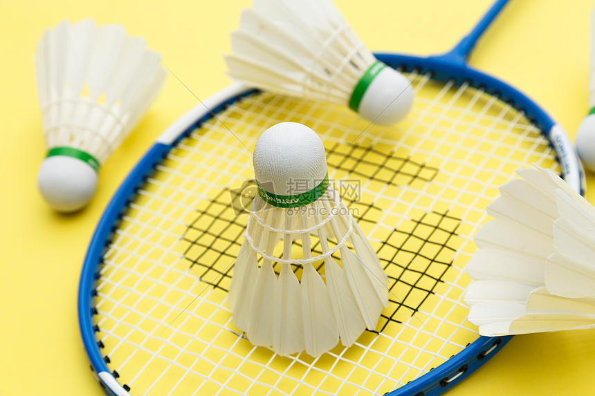 9篮板的表 9篮板的表