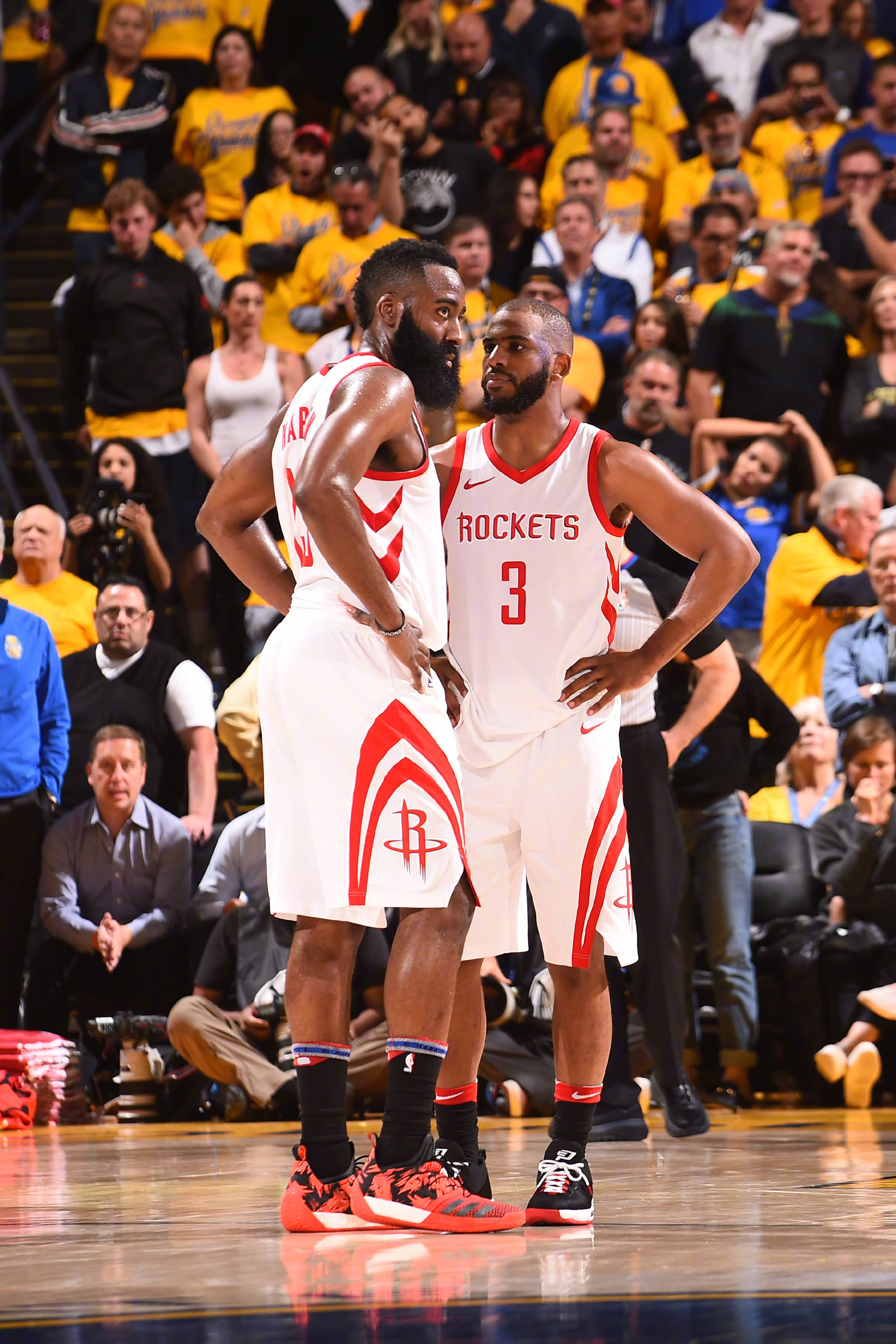 引进了一些 引进了一些