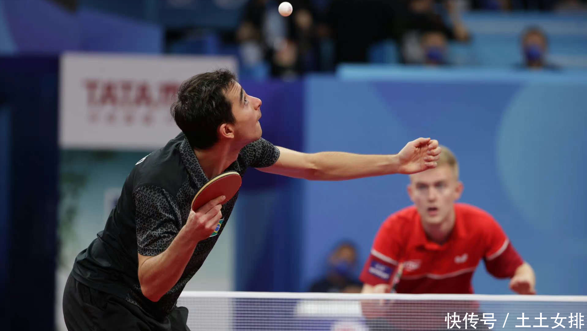 种恶性循环 种恶性循环